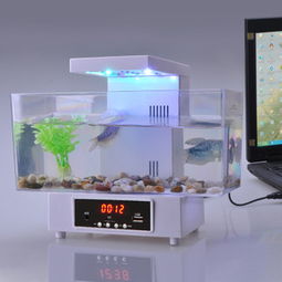 品佩水族产品 产品图片 加盟店怎么样