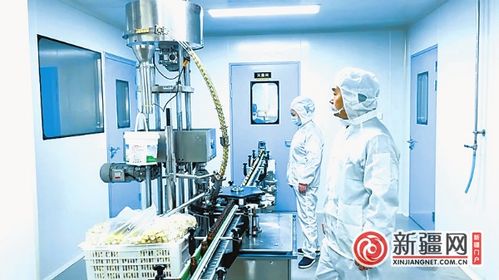 产业进沙漠 沙粒可生 金 沙漠里掘 金 的乌鲁木齐探索观察