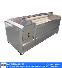 毛刷清洗机 潍坊毛刷清洗机厂家 翔盛机械 优质商家