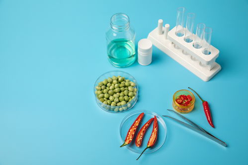 辣椒豌豆食品安全农业科技食品培育摄影图 插画 下载至来源处