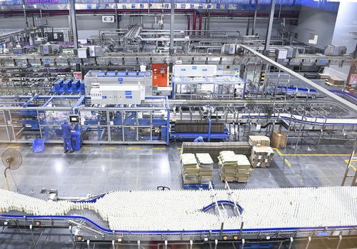 活力中国调研行 | 福建向新逐智，传统产业长新枝科技